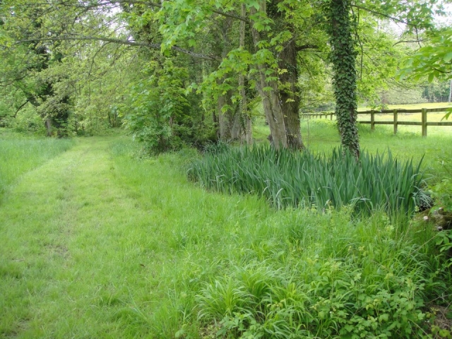  camicrema en Sena y Marne 